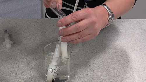 胰蛋白酶的反应速率