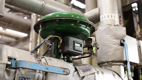 生产环保生物柴油