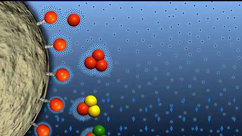 GFP纯化 4疏水作用色谱法