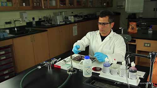 对细菌培养物进行简单染色