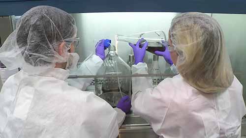 发酵：按比例增加