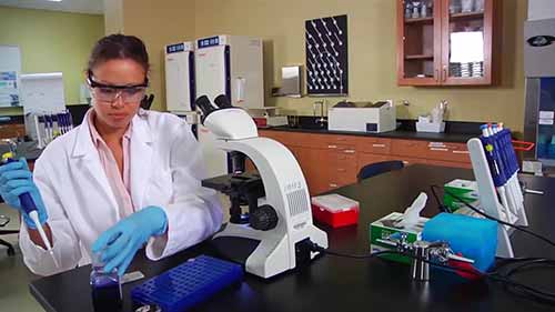 用血细胞计进行细胞计数