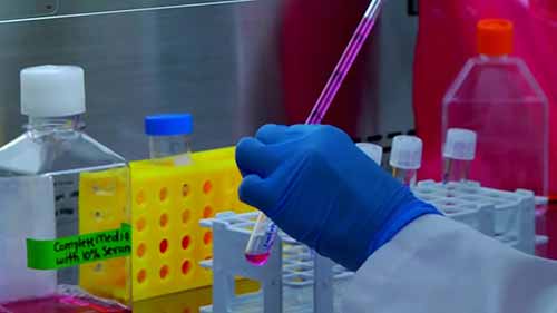 细胞克隆培养法：连续稀释