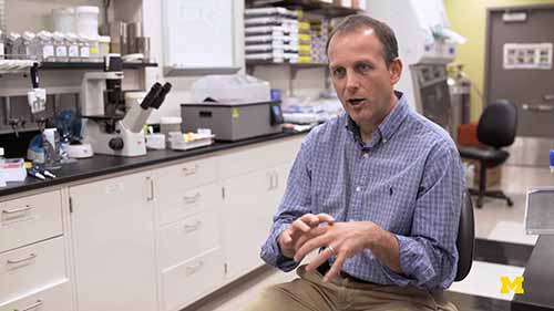 生物材料支架和人工肺器官