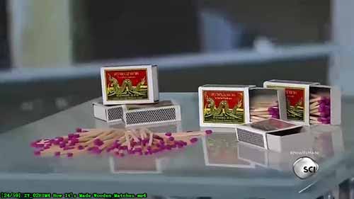 火柴制造全过程