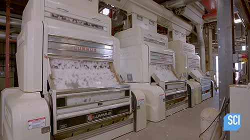 棉絮加工全过程