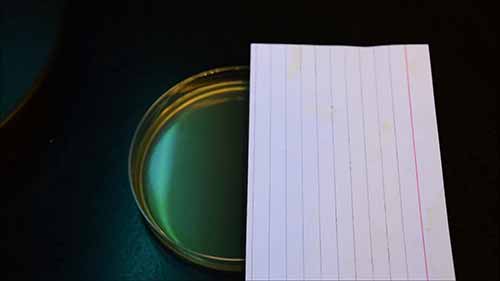 紫外线对细菌的影响