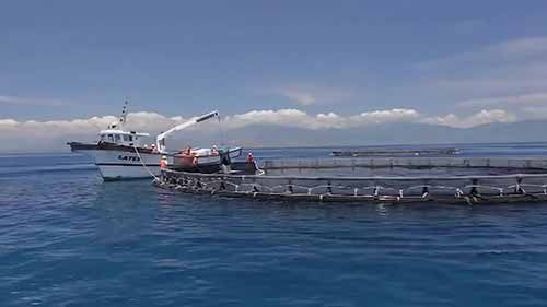 澳大利亚水产养殖