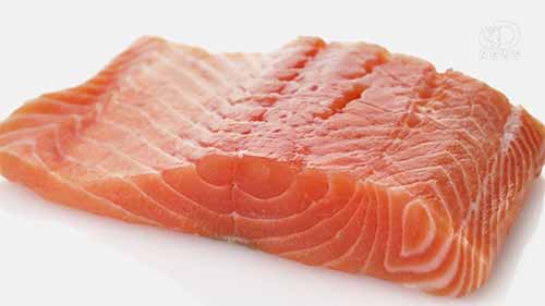 你应该避免养殖鱼类吗