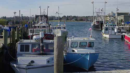 长岛湾环保计划