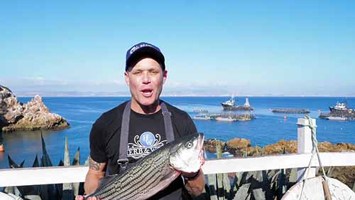 厨师们的水产养殖