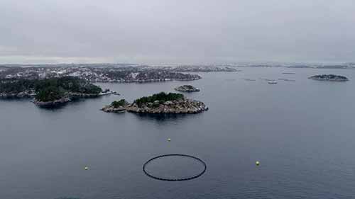 可持续水产养殖