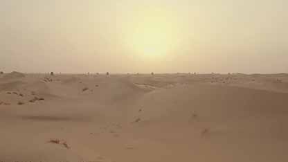 迪拜：太阳能临界点