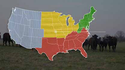 让独立农场主进入市场