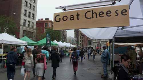 纽约的都市农业