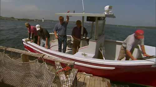 水产养殖的光明前景