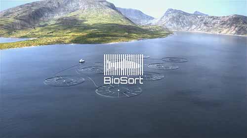 个性化水产养殖