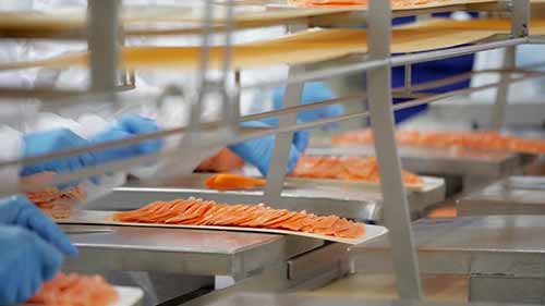 环保型水产养殖