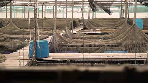 在新加坡运送新鲜海鲜