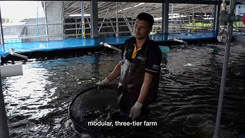 我们能在陆地上养鱼吗