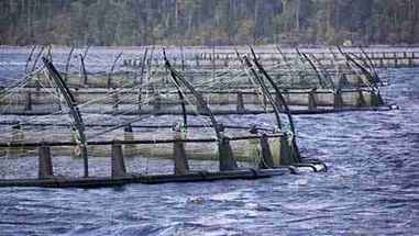 水产养殖农场经理访谈