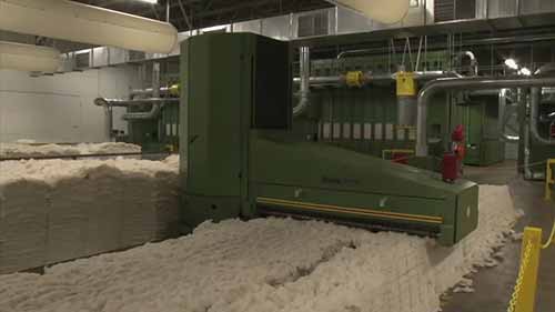 南乔治亚州的棉花生产商