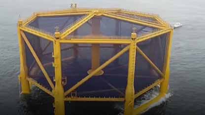 深海渔场开放养殖三文鱼