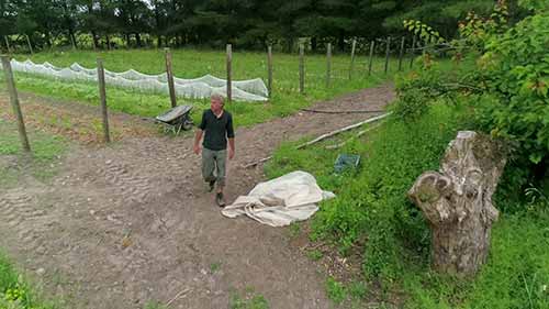 有机可持续农业