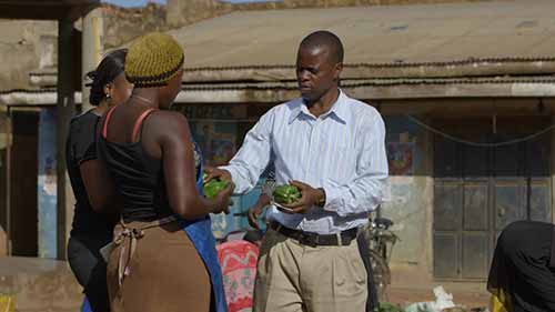 利用数字工具扩大农业机会