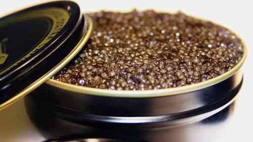 水产业循环系统与鲟鱼养殖