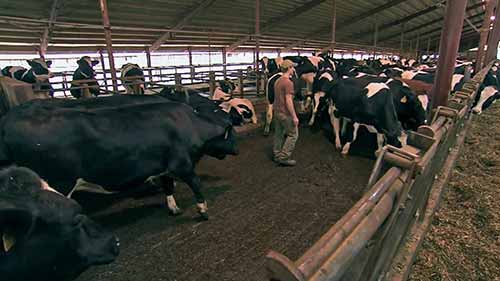 农业、粮食和自然资源