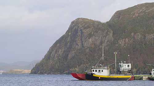 可持续水产养殖知识集锦