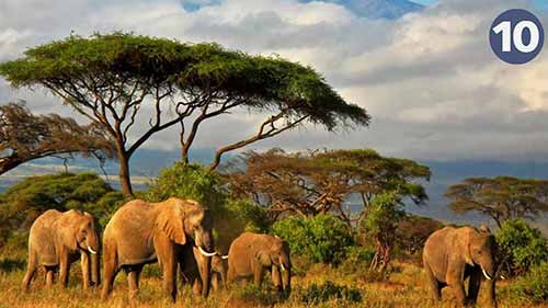 迄今发现的10种最珍贵的宝石