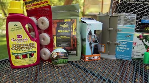 什么是害虫综合管理