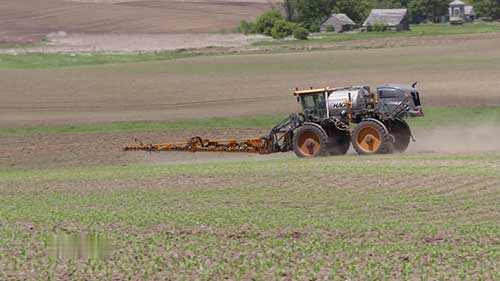 处理玉米田的病虫害