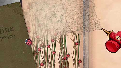 干扰害虫交配的灭虫法