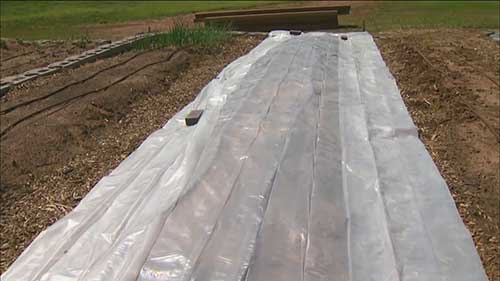 天然环保的病虫害防治方法