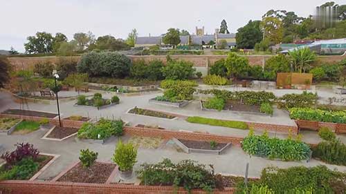 有机园艺方法去除害虫