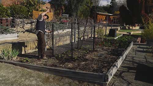 如何防止动物侵害庄稼