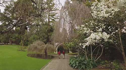 大型植物园的害虫管理