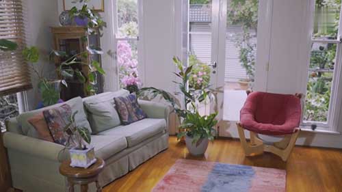 如何解决室内植物虫害问题