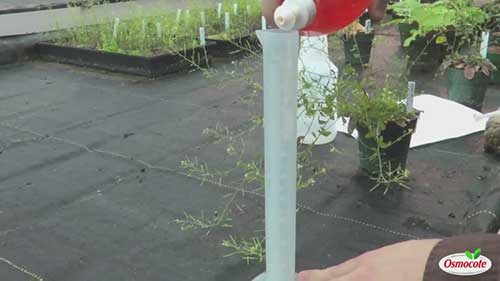 自制的肥皂水杀虫剂