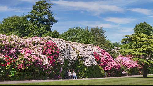休眠油喷雾的使用