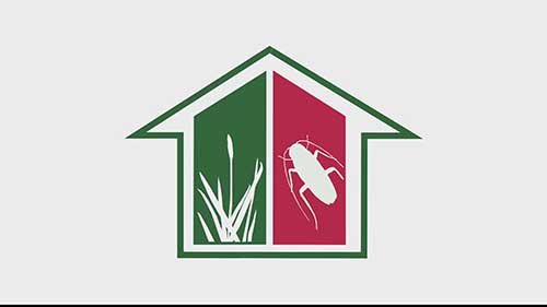 联苯菊酯强效杀虫剂