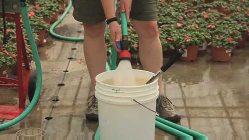 生物控制方法管理害虫