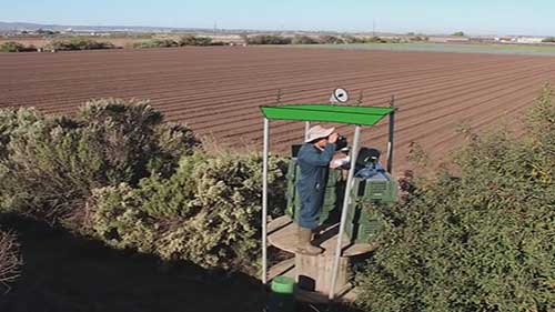 有机农场上的生物防治方法