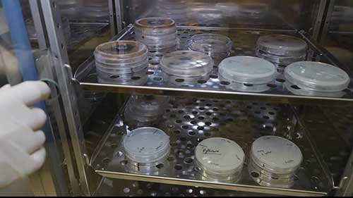 植物诊断实验室2