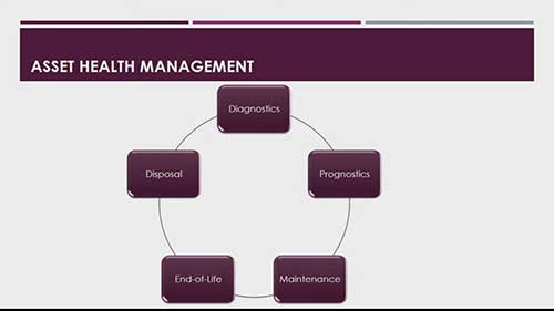 配电网健康管理