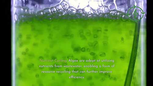 生物氢的制备技术