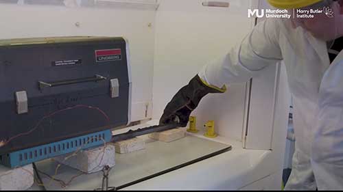 莫道克大学的湿法冶金研究成果